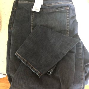 Lane Bryant jeans / jeggings
